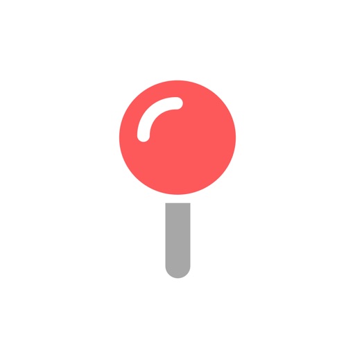 Pin Traveler: Track Travel Map