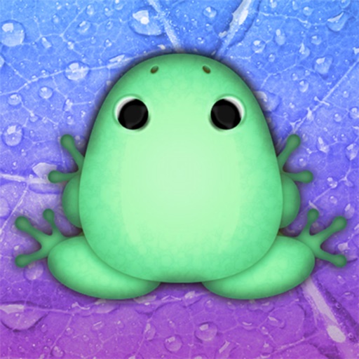 Pocket Frogs: Tiny Pond Keeper